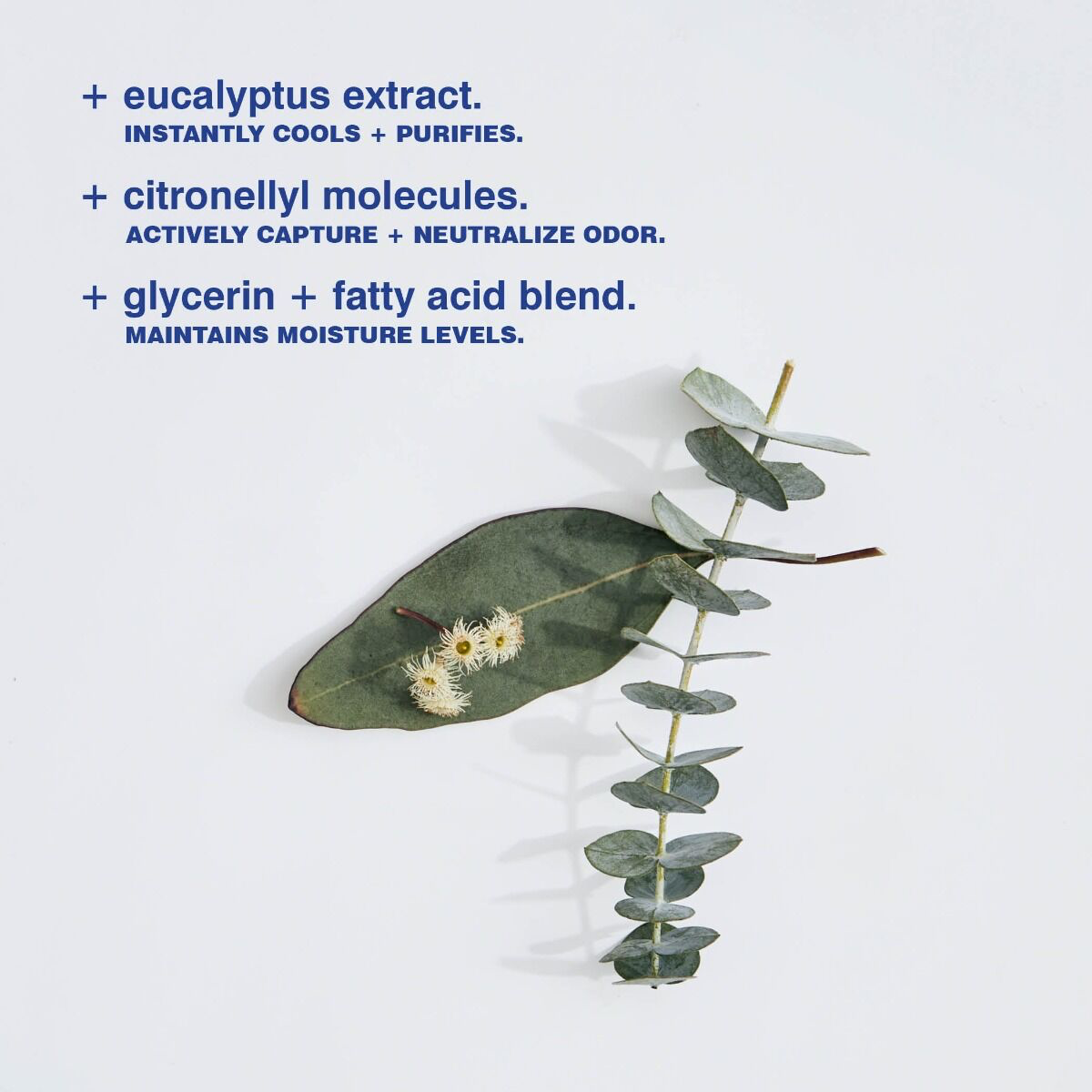Eucalyptus Deoderant