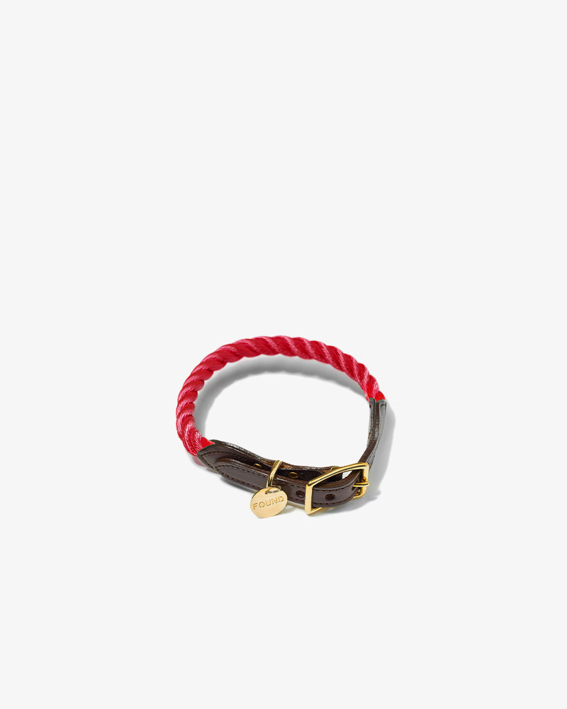 Pet Collar
