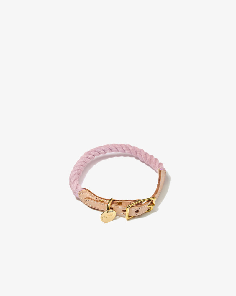 Pet Collar