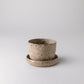 Coffee Bean Husk Mini Planter Pot