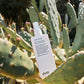 Evo root canal spray bottle on a cactus plant