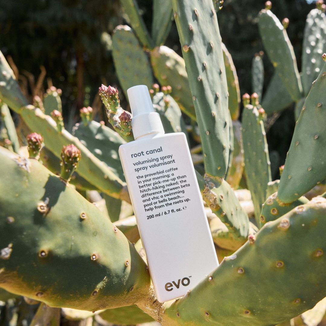 Evo root canal spray bottle on a cactus plant