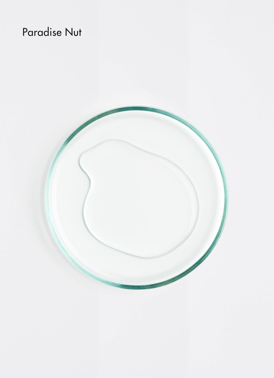 Petri dish of Paradise Nut oil on a white background